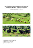 Principales enfermedades infecciosas y parasitarias en el ganado ovino y caprino extensivo