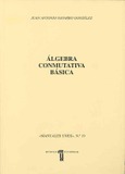Álgebra conmutativa básica