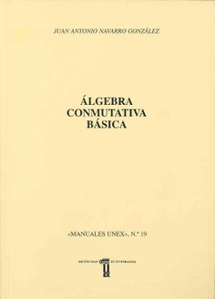 Álgebra conmutativa básica